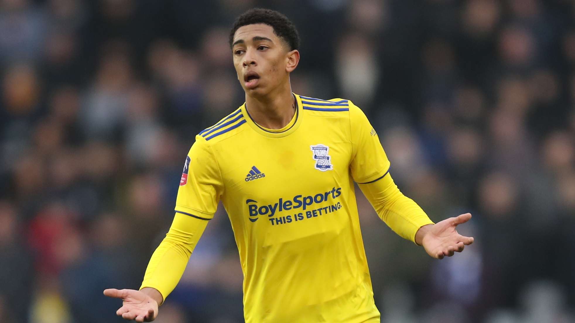 这种现象不 这种现象不