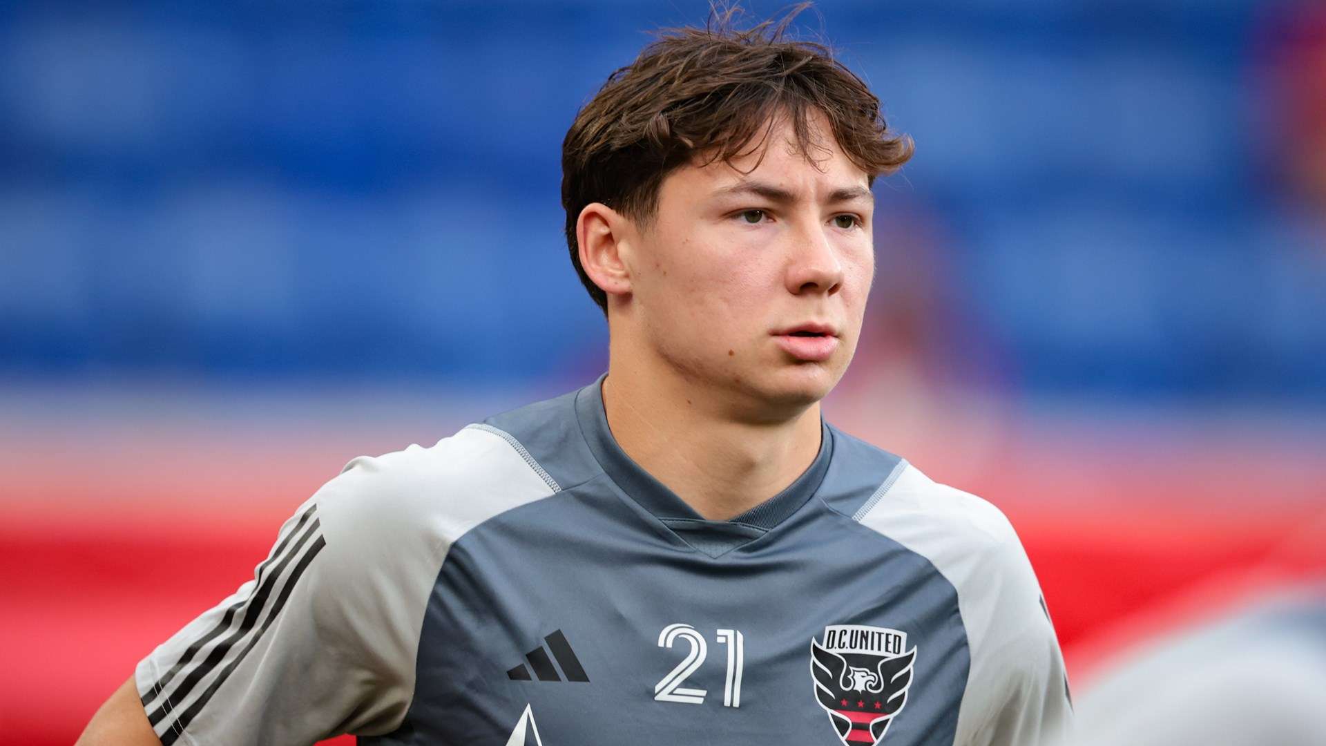 他们为何会 他们为何会